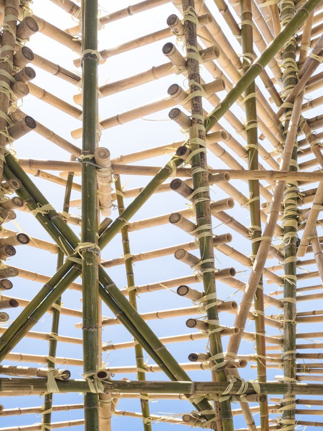 Macao: tiềm năng của tre trong kiến trúc sinh thái - Ảnh 2.