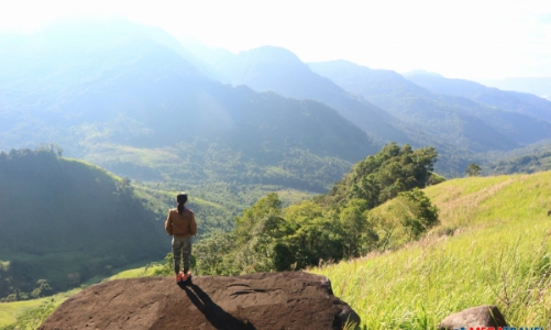 Đến Cam Ranh, nhưng để ngắm… rừng