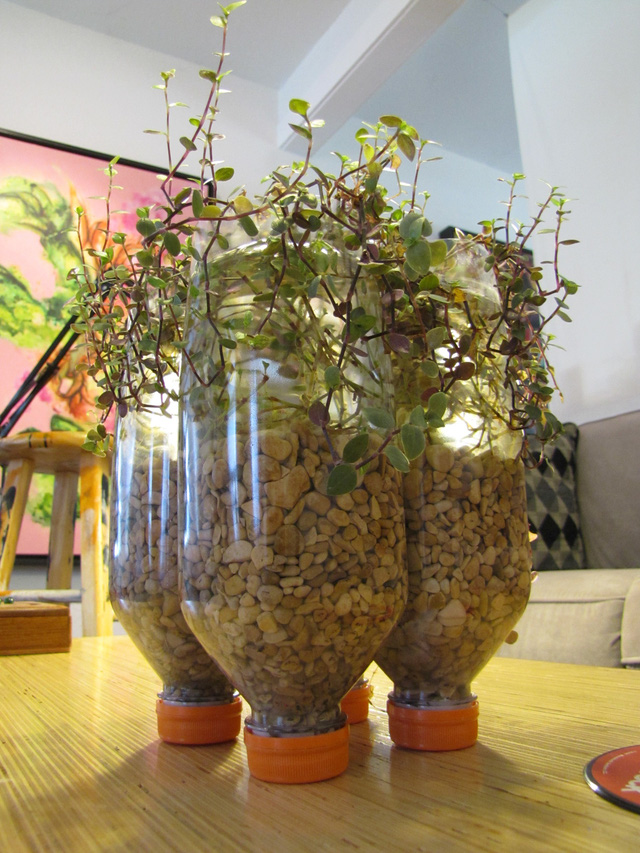 Tái sử dụng chai soda để décor nội thất - Ảnh 1.