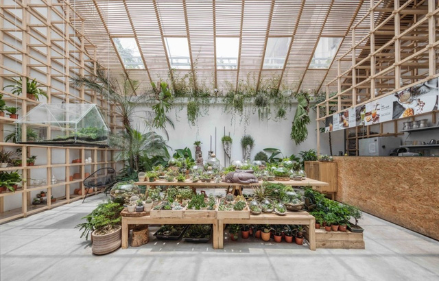 5 quán cà phê view đẹp cho ngày cuối tuần - Ảnh 8.