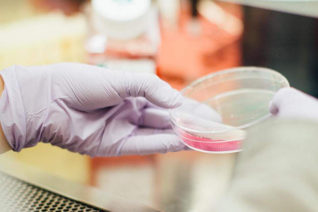 Viên thuốc con ngựa thành Troy của y học tương lai - Ảnh 1.