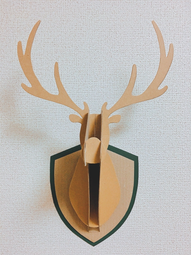 Cô gái trẻ chia sẻ cách trang trí Giáng sinh bằng đồ tái chế - Ảnh 11.