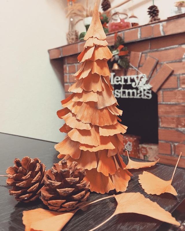 Cô gái trẻ chia sẻ cách trang trí Giáng sinh bằng đồ tái chế - Ảnh 10.