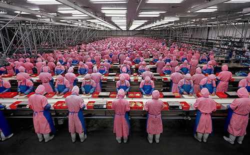 Số lượng những ngành thâm dụng lao động được dự báo sẽ ngày một giảm trong kinh tế Trung Quốc - Ảnh: QualityWars.