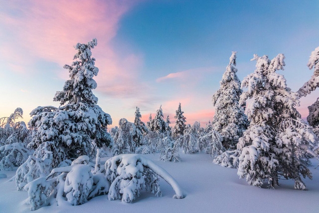 Lapland: nơi lý tưởng nhất để đón Giáng sinh tuyết trắng - Ảnh 2.