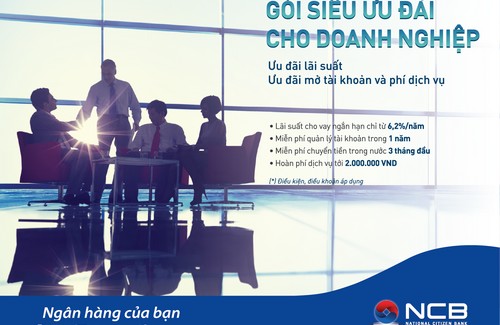 Thời gian vay theo sản phẩm mới này kéo dài tối đa 3 năm và khách hàng được trả nợ dần thành nhiều kỳ.