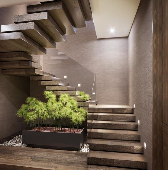 Khu vườn nhỏ ngay dưới gầm cầu thang - Ảnh 2.