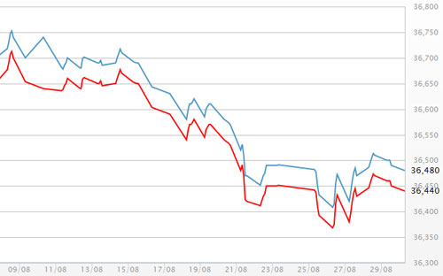 Diễn biến giá vàng SJC tại DOJI.<br>