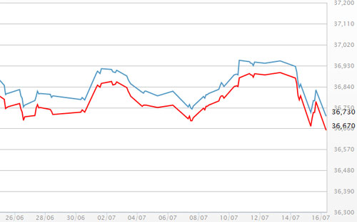 Diễn biến giá vàng SJC tại DOJI - Nguồn: DOJI.<br>
