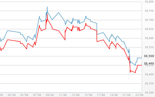 Diễn biến giá vàng SJC tại DOJI - Nguồn: DOJI.<br>