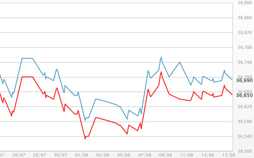 Diễn biến giá vàng SJC tại DOJI - Nguồn: DOJI.<br>