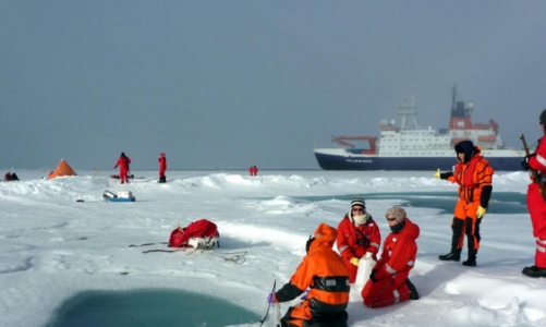 Hạt vi nhựa đã 