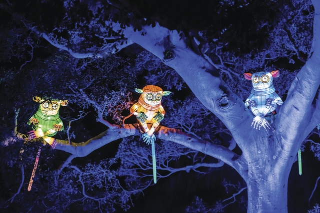 Vivid Sydney: dịp tốt nhất để du lịch Úc - Ảnh 13.