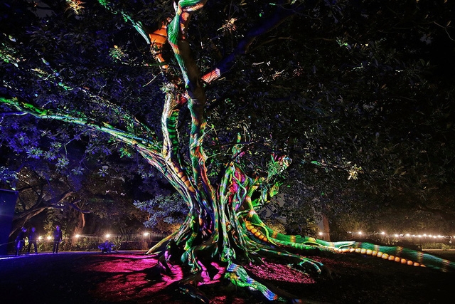 Vivid Sydney: dịp tốt nhất để du lịch Úc - Ảnh 16.