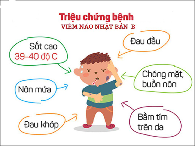 Cẩn trọng khi vào mùa viêm não Nhật Bản - Ảnh 1.