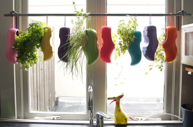 Một khu vườn ngay tại cửa sổ - Ảnh 9.