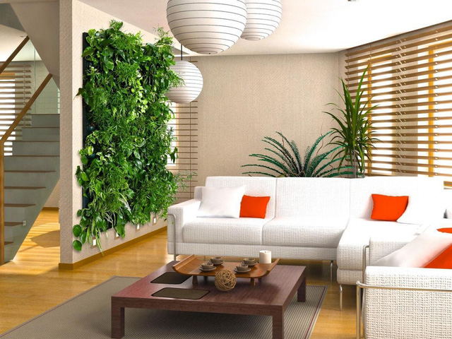 Vườn thẳng đứng trong nhà: những điều cần biết - Ảnh 10.