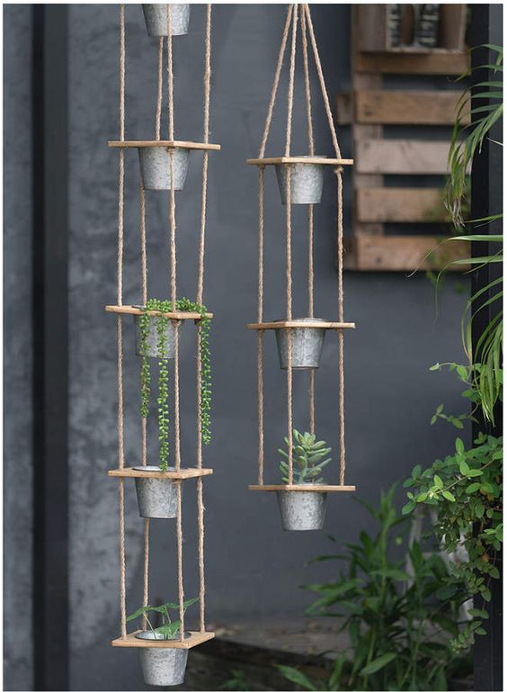 Một khu vườn ngay tại cửa sổ - Ảnh 3.