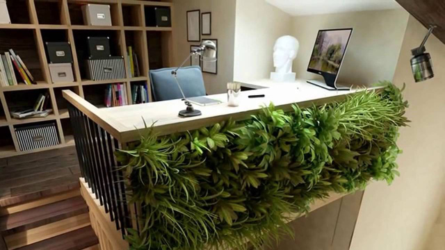 Vườn thẳng đứng trong nhà: những điều cần biết - Ảnh 8.