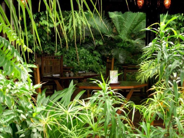 Whale Island Resort: ngôi nhà quê giữa vịnh Vân Phong - Ảnh 9.