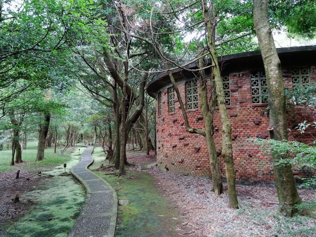 Ngắm hoa anh đào trên núi Dương Minh - Ảnh 8.