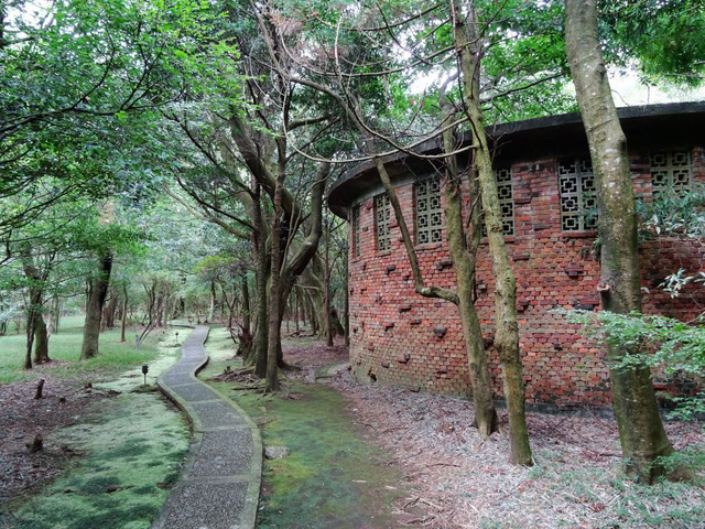 Ngắm hoa anh đào trên núi Dương Minh - Ảnh 8.