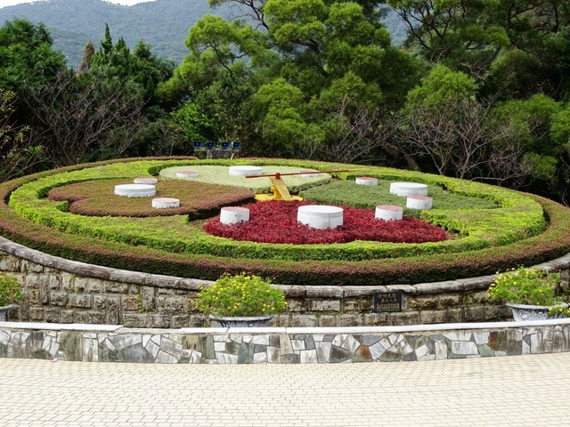 Ngắm hoa anh đào trên núi Dương Minh - Ảnh 5.