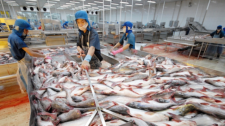 Giá trị xuất khẩu thủy sản tăng tại nhiều thị trường.
