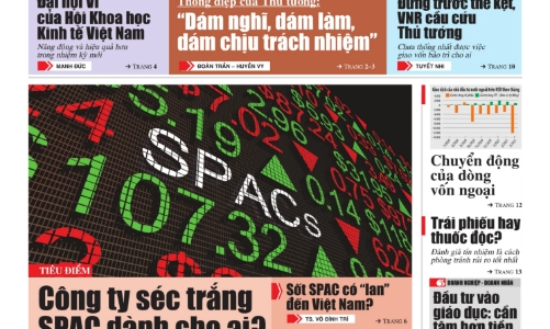 Tạp chí Kinh tế Việt Nam số 31