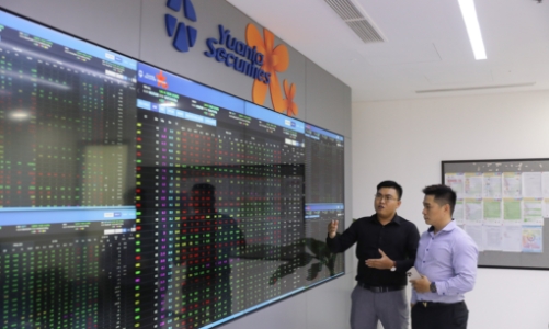 YSVN miễn phí xác nhận nhà đầu tư chuyên nghiệp