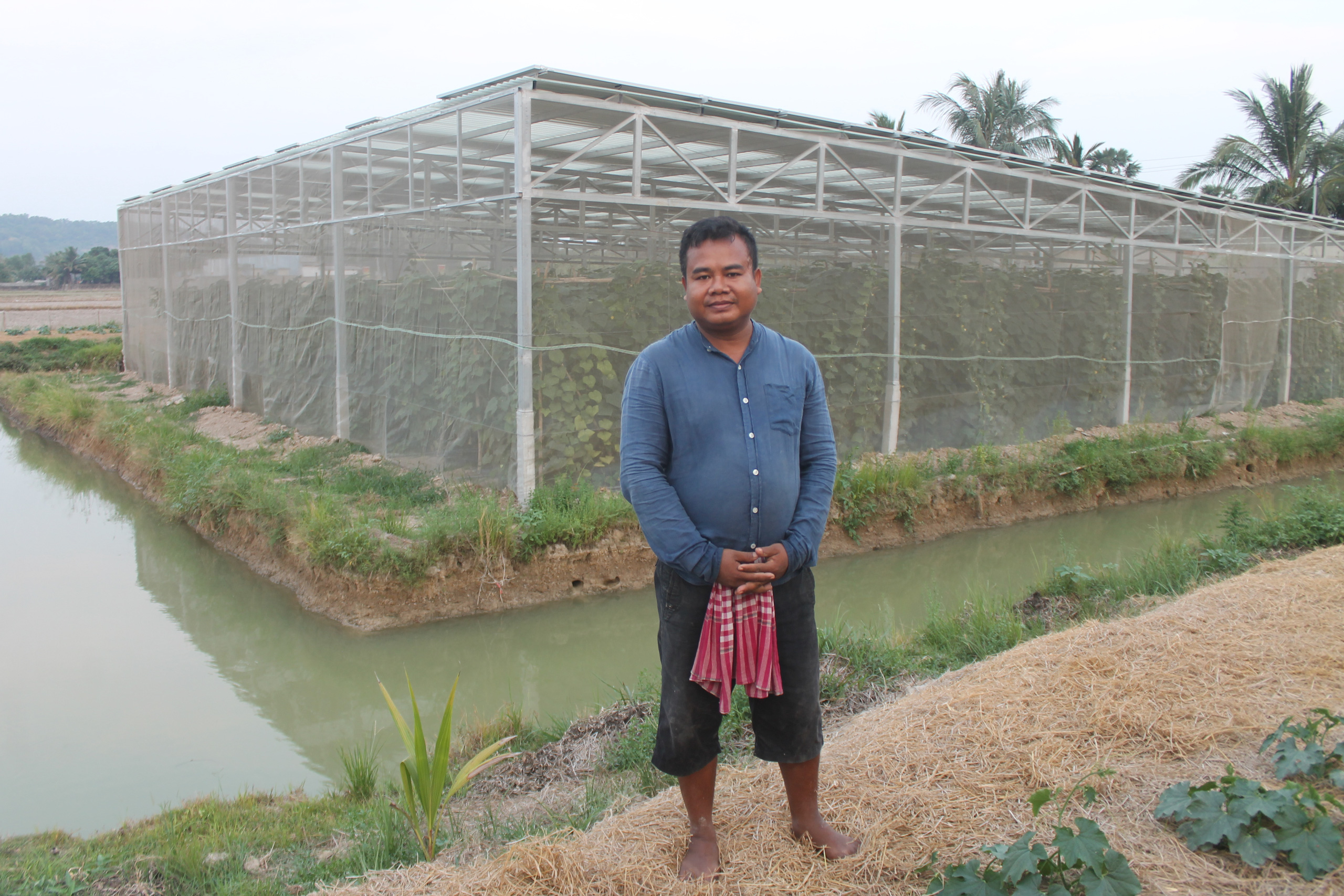 Ông Chau Hon bên cạnh khu nhà màng diện tích 400m2 thử nghiệm.