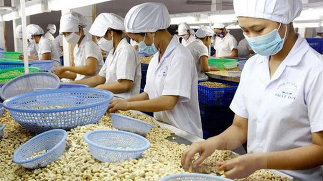 Khối lượng điều xuất khẩu tăng