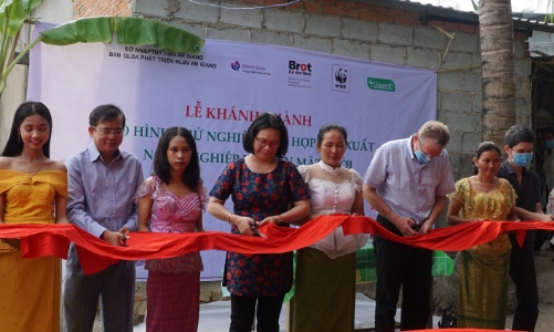 Kết hợp sản xuất nông nghiệp và điện mặt trời