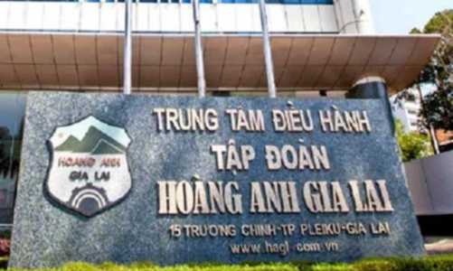 Kiểm toán nghi ngờ khả năng hoạt động liên tục của Hoàng Anh Gia Lai