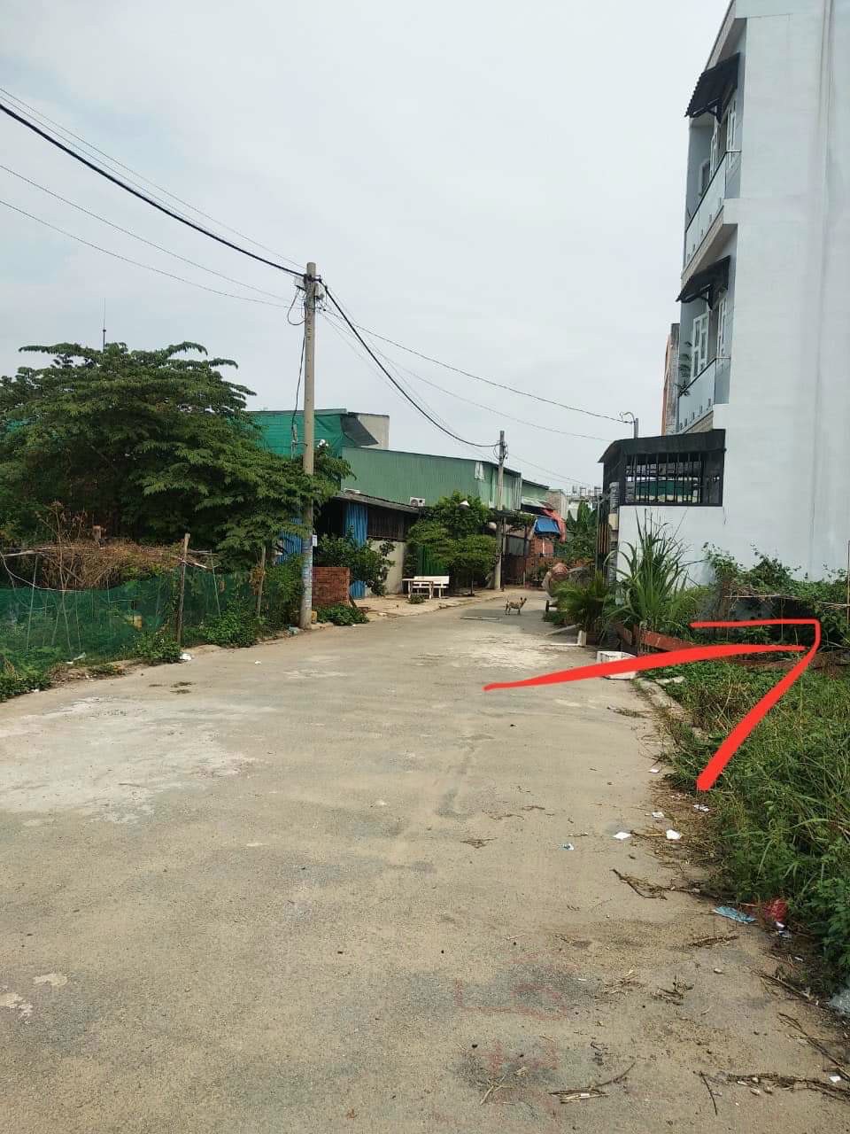 Mảnh đất được rao bán giá 3,2 tỷ đồng tại đường Võ Văn Hát (phường Long Trường, quận 9).