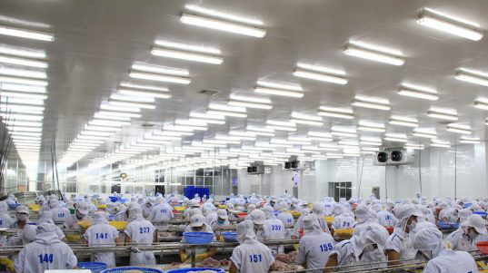 VASEP khuyến cáo nên để doanh nghiệp tự đầu tư xây dựng hệ thống kho lạnh bảo quản thủy sản.