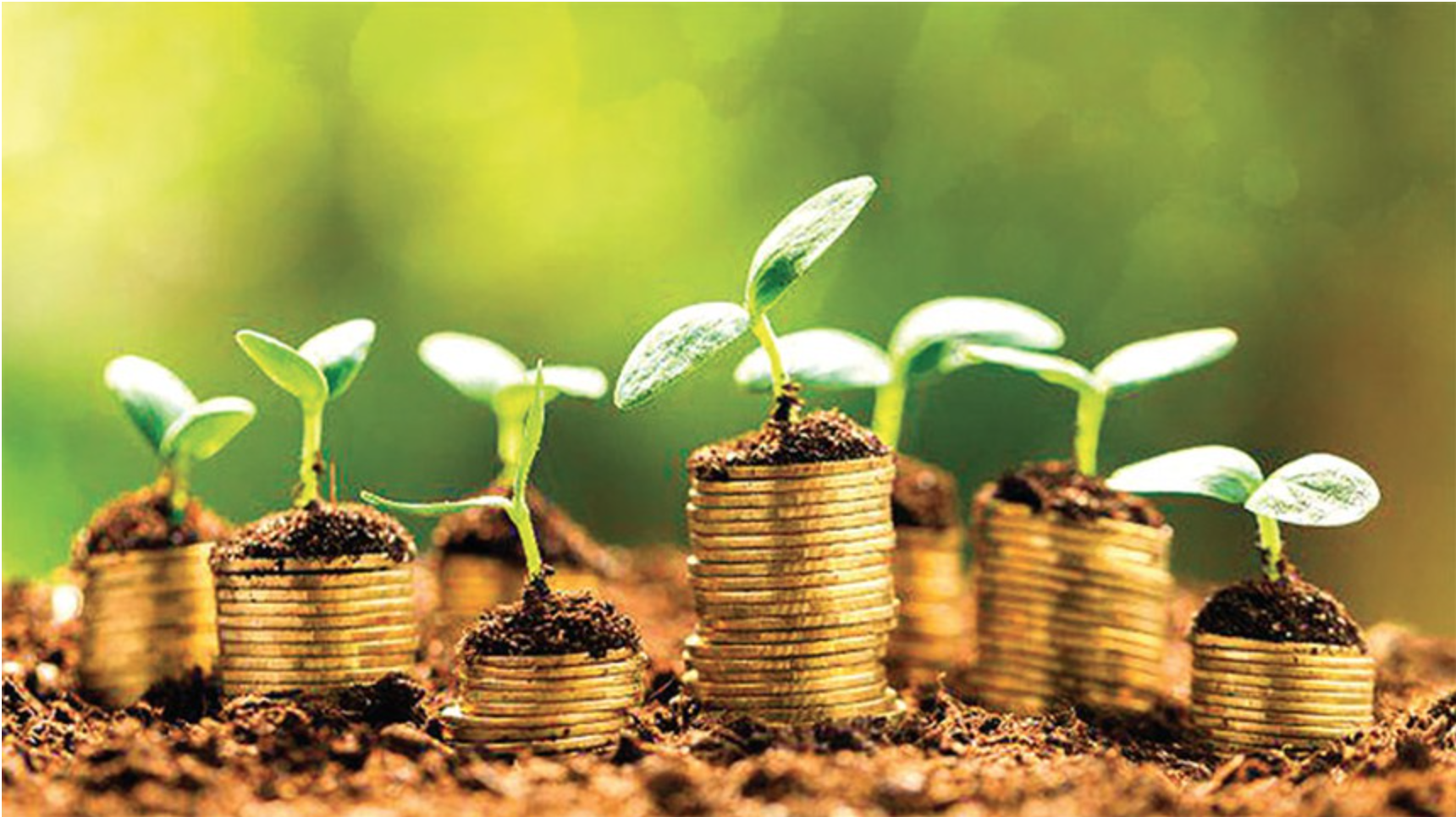 Những năm gần đây, sự phát triển của thị trường trái phiếu dán nhãn, đặc biệt là trái phiếu xanh, đã thu hút một lượng lớn các nhà đầu tư quốc tế