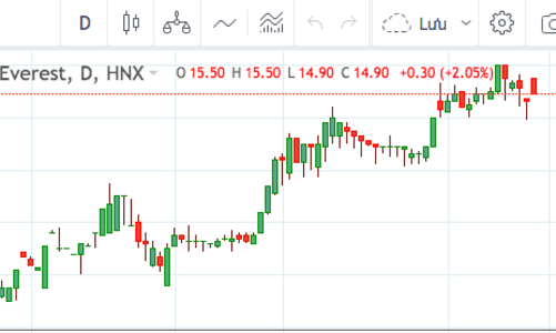 Nhờ NVB, chứng khoán Everest lãi quý 1 vượt mục tiêu cả năm 2021