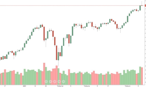 Blog chứng khoán: Hưng phấn lại hứng... xả