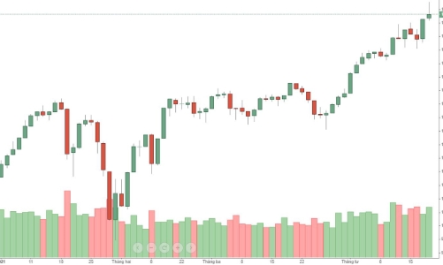Blog chứng khoán: Đừng nhìn chỉ số, hầu hết cổ phiếu đang đuối dần