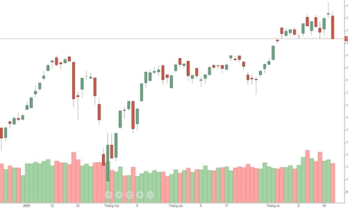 Tranh nhau bán tháo, VN-Index bốc hơi trên 40 điểm