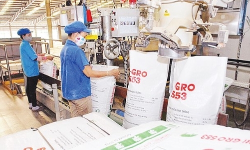 Sản xuất thức ăn chăn nuôi lao đao vì thiếu nguyên liệu