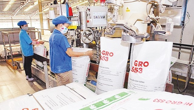 Sản xuất thức ăn chăn nuôi thiếu hụt nguồn nguyên liệu