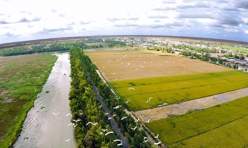 Duyệt chuyển mục đích sử dụng 81,6 ha đất nông nghiệp tại Long An