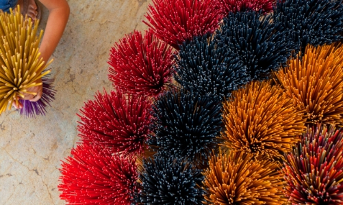 Festival nghề truyền thống Huế 2021 chính thức khởi động