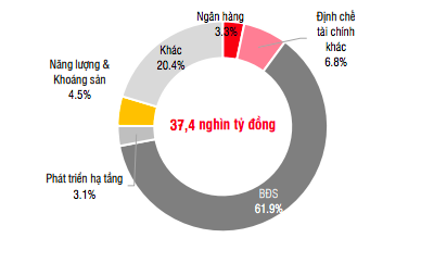 Cơ cấu phát hành trong quý 1/2021.