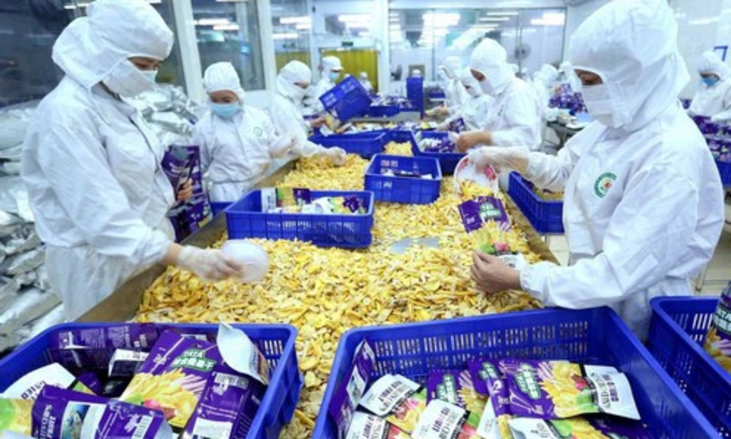 Ngành chế biến nông sản phát triển chưa bền vững