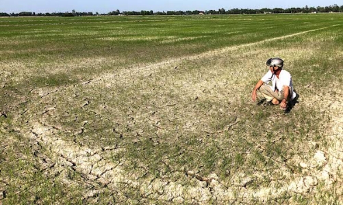 Dự báo hạn mặn bằng điện thoại thông minh