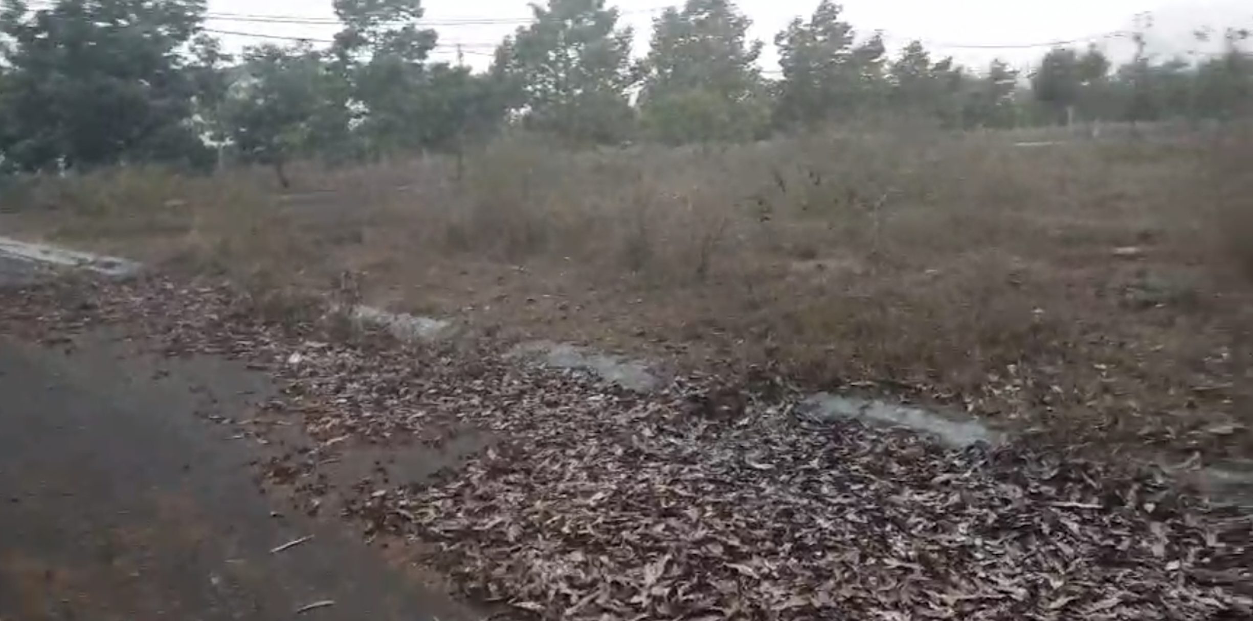 Dự &aacute;n tr&ecirc;n khi 