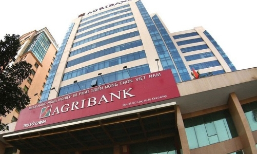 Agribank: Chưa định giá được tài sản, chưa thể cổ phần hóa? 